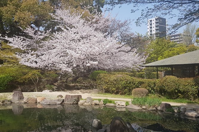 Osakas Best and Brightest by Private Vehicle - Visiting Osaka Castle