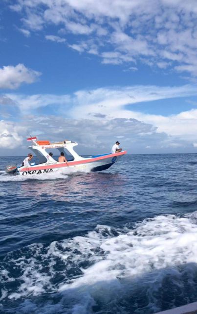 OSEANA ADVENTURE - PUBLIC & PRIVATE SNORKELING - Expert-Led Guidance