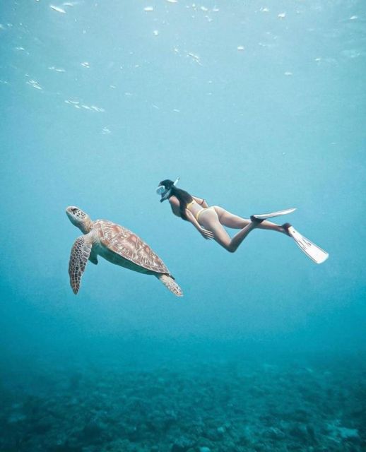 OSEANA ADVENTURE - PUBLIC & PRIVATE SNORKELING - Safety Considerations