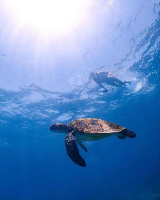 OSEANA ADVENTURE - PUBLIC & PRIVATE SNORKELING - Frequently Asked Questions