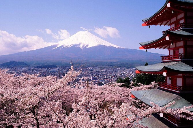 Oshino Hakkai and Hot Spring Trip From Tokyo to Mt. Fuji - Start Time and Duration