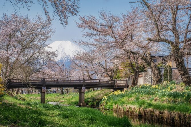 Oshino Hakkai and Hot Spring Trip From Tokyo to Mt. Fuji - Cancellation Policy
