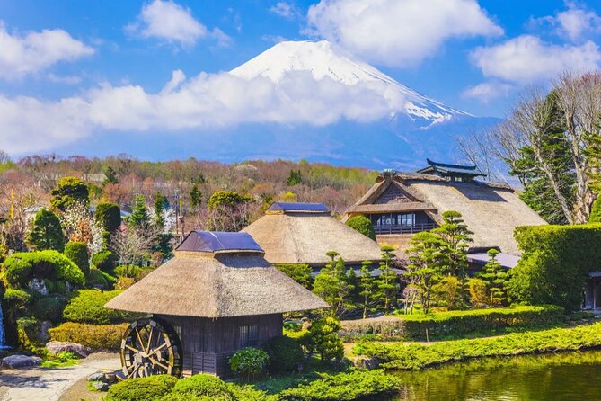 Oshino Hakkai and Hot Spring Trip From Tokyo to Mt. Fuji - Accessibility and Medical Conditions