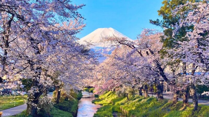 Oshino Hakkai, Mount Fuji Hot Spring One Day Tour - Important Information