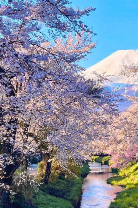 Oshino Hakkai, Mount Fuji Hot Spring One Day Tour - Exploring Oshino Hakkai