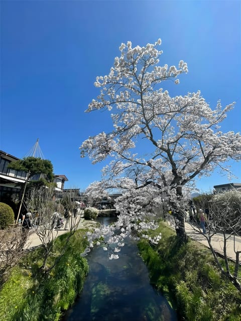 Oshino Hakkai, Mount Fuji Hot Spring One Day Tour - Experience Japans Splendor