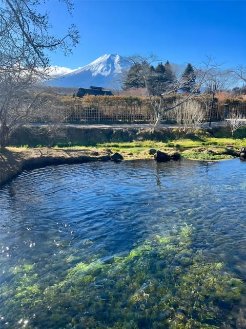Oshino Hakkai, Mount Fuji Hot Spring One Day Tour - Frequently Asked Questions