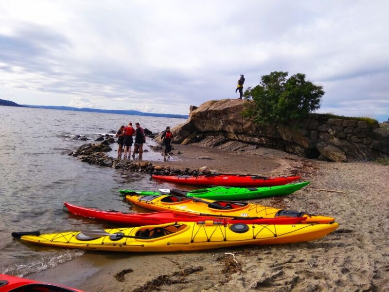 Oslo: 3-hour Kayaking Trip on the Oslofjord - Tour Details