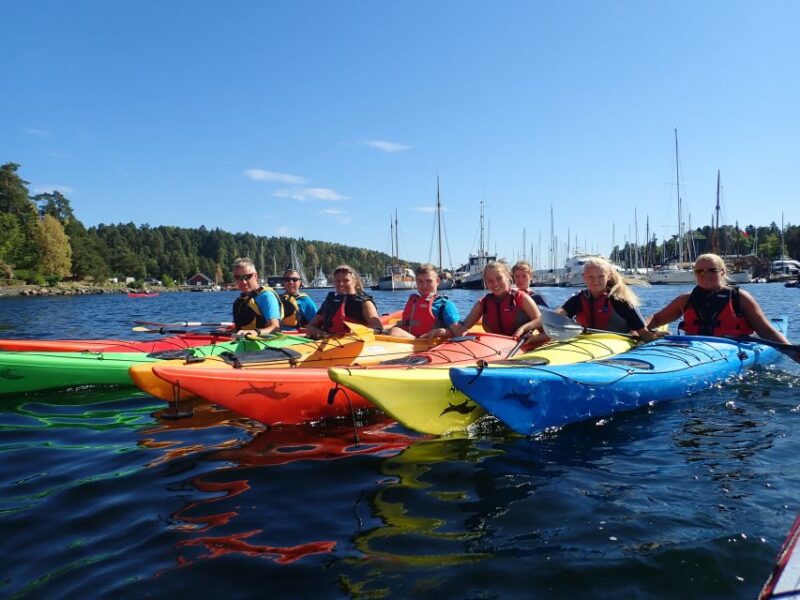 Oslo: 3-hour Kayaking Trip on the Oslofjord - Itinerary and Highlights