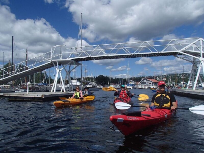 Oslo: 3-hour Kayaking Trip on the Oslofjord - Participant Requirements