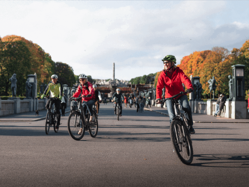 Oslo and Beyond: Guided Electric Bike Tour - Key Points