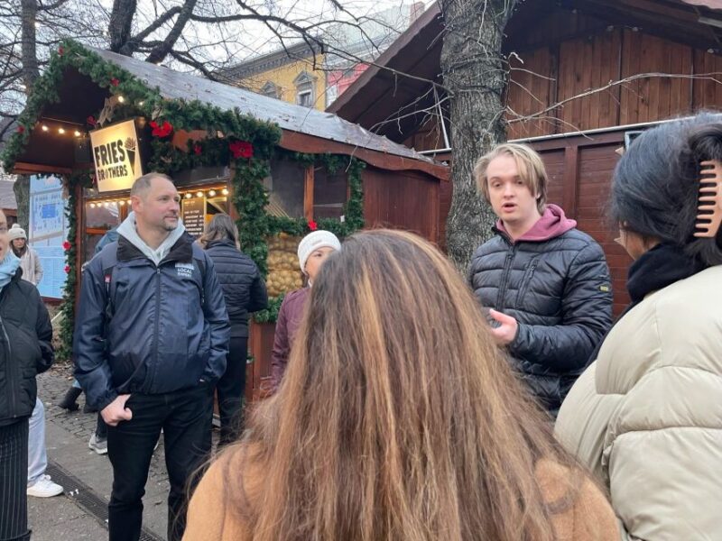 Oslo: City Highlights Christmas Walking Tour - Experience Highlights