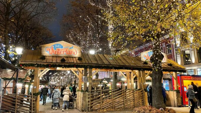 Oslo: City Highlights Christmas Walking Tour - Recap