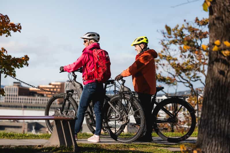 Oslo: City Highlights Guided Bike Tour - Experience and Learning