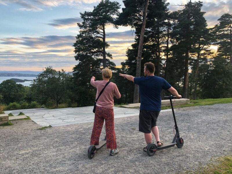 Oslo: City Highlights Guided Tour by E-Scooter - Activity Description