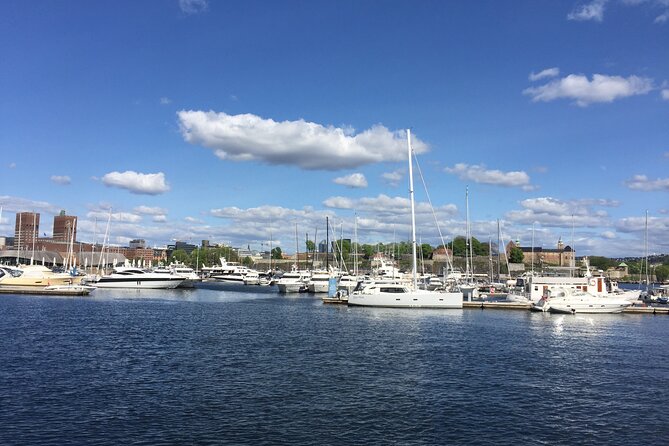 Oslo City Highlights With Fjord Cruise - Guided Tour of Vigeland Sculpture Park