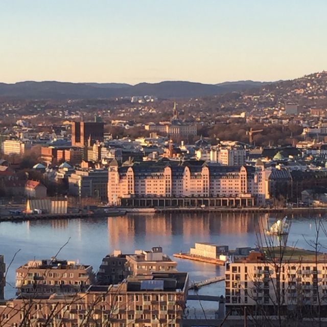 Oslo: City Walking Tour - Recap