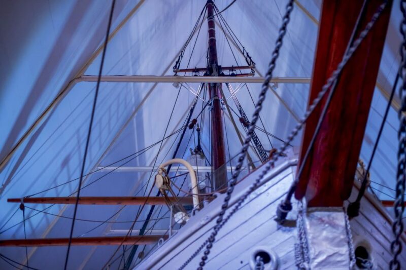Oslo: Grand City Tour and Fjord Cruise - Participant Information