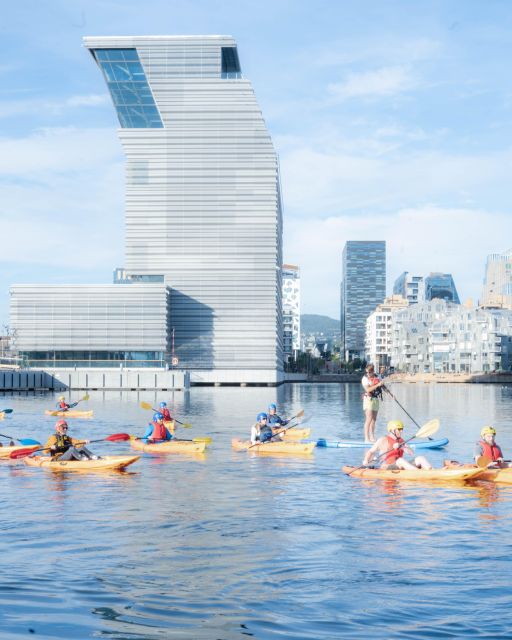 Oslo Kayak Tour “Fjord City” - Key Points