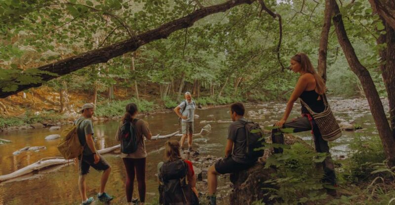 Oslo: Lysaker Wild River Walk - Itinerary Details