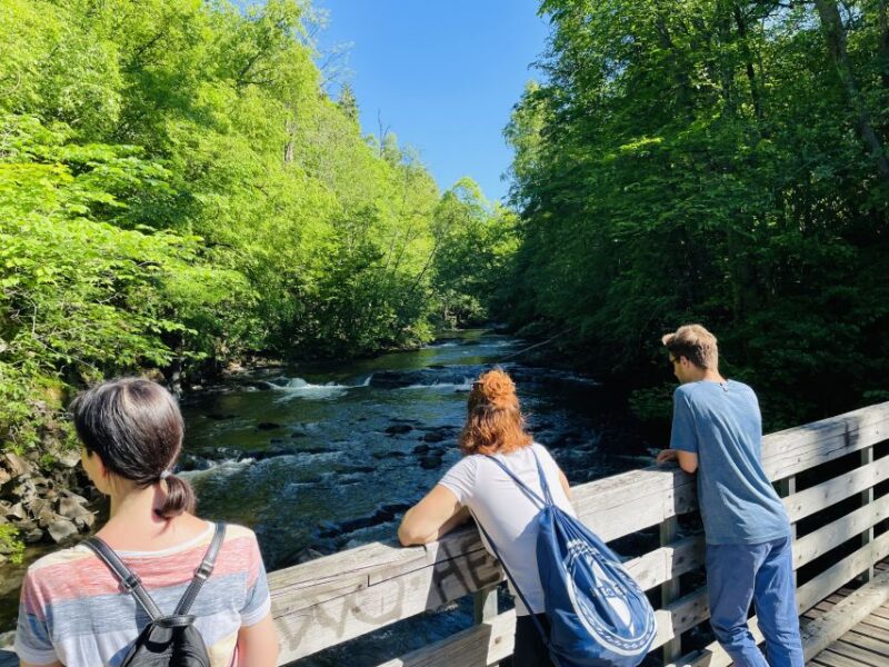 Oslo: Lysaker Wild River Walk - Tour Features