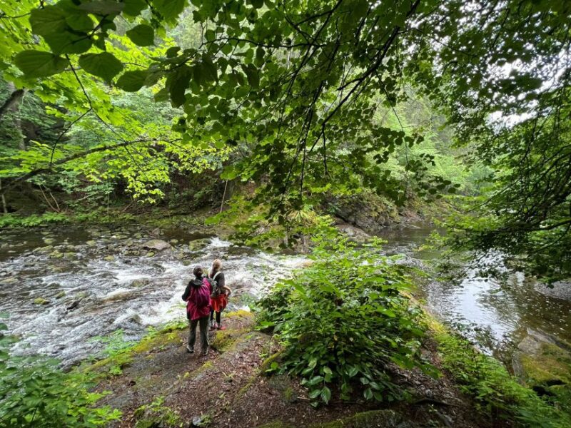 Oslo: Lysaker Wild River Walk - Cancellation and Refund Policy