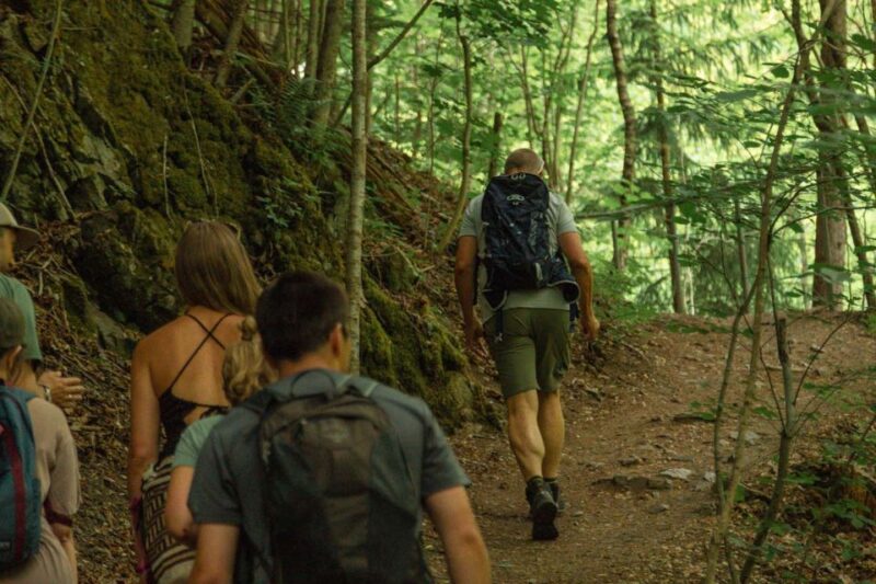 Oslo: Lysaker Wild River Walk - Customer Feedback