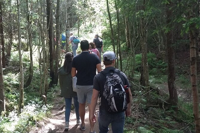Oslo Nature Walks: Forest to Fjord - Hiking Through Europes Largest Urban Forest
