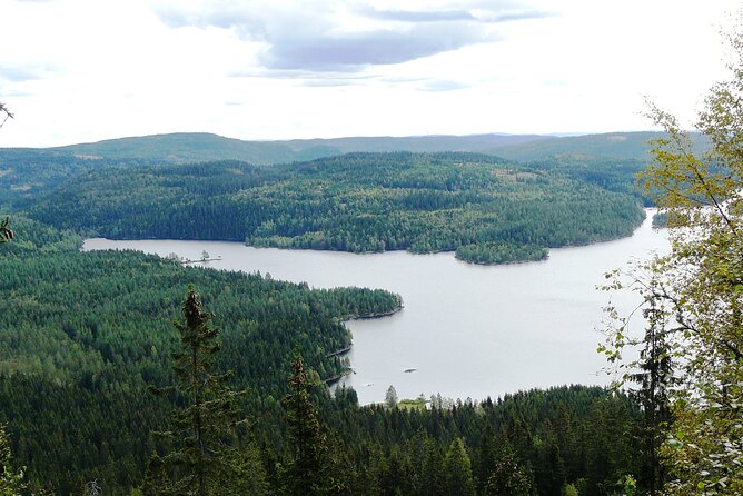 Oslo Nature Walks: Forest to Fjord - Enjoying Pristine Lakes and Viewpoints