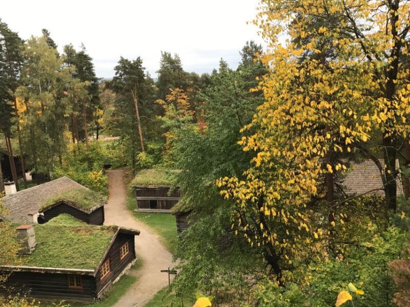 Oslo: Norwegian Explorers and Culture 3 Museum Tour - Inclusions