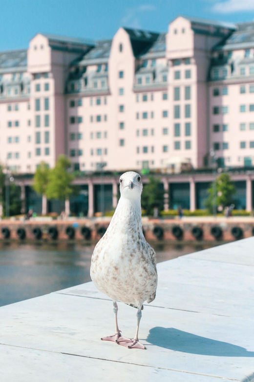 Oslo: Oslo in a Nutshell Guided Bike Tour - Key Points