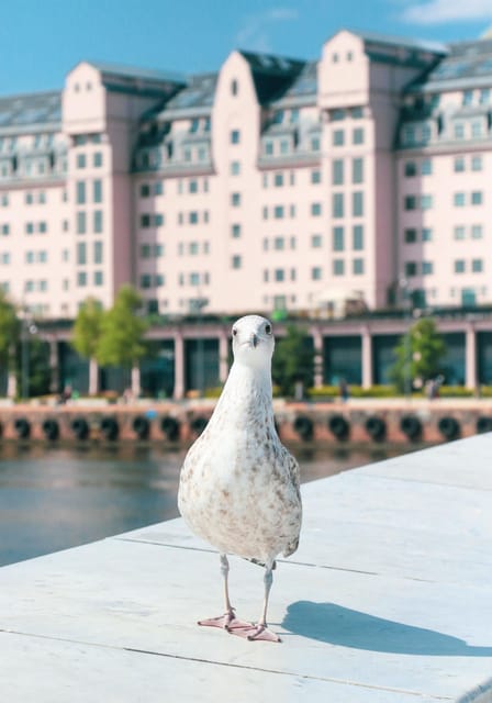 Oslo: Oslo in a Nutshell Guided Bike Tour - Cancellation Policy