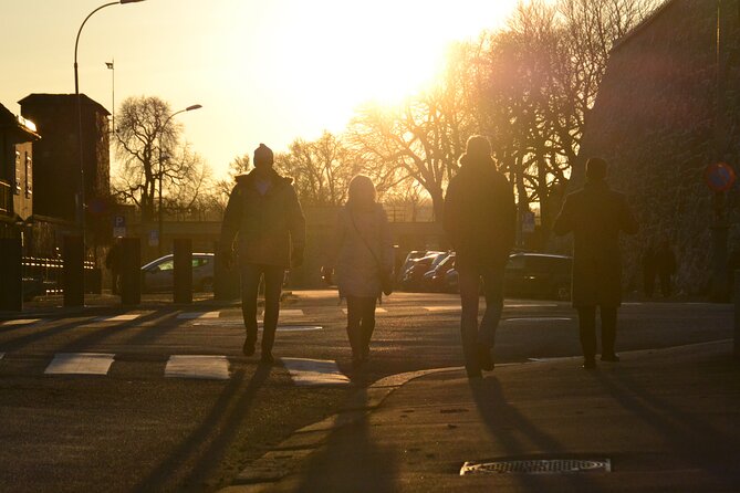 • Oslo Panorama El-Bike Tour - Traveler Feedback: Positive Experiences