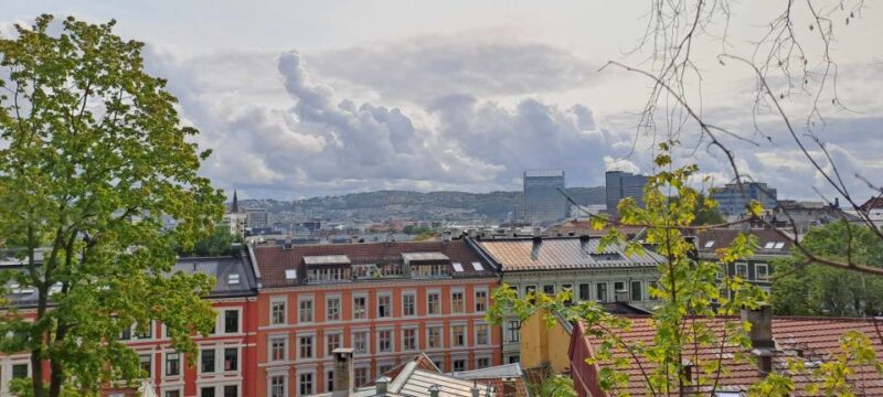 Oslo Private Tour: Hidden Gems City Walk With Local & Dog - Experience and Highlights