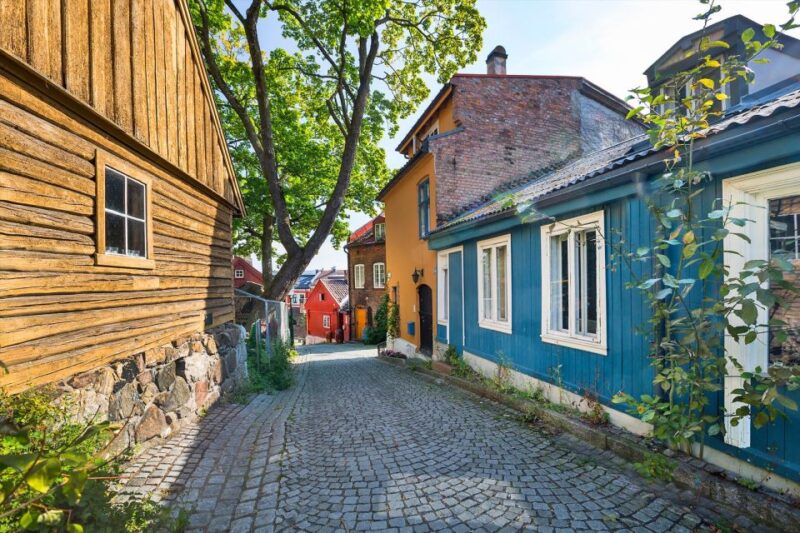 Oslo Private Tour: Hidden Gems City Walk With Local & Dog - Itinerary and Meeting Point