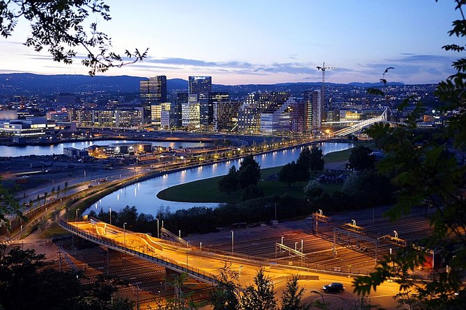 Oslo: Private VIP City Tour by Luxury Minivan With Driver & Guide - Flexibility for Cruise Ship Passengers
