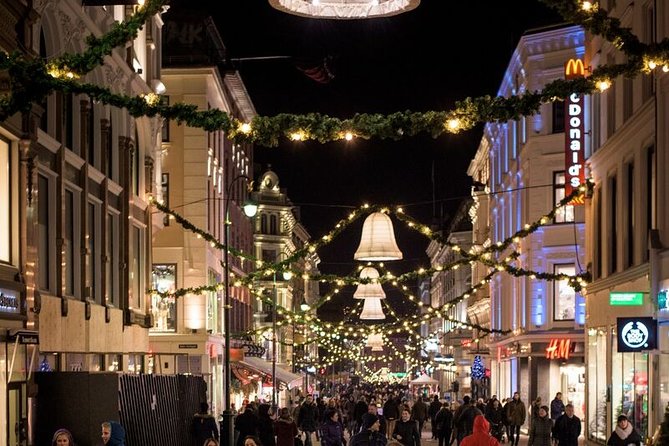 Oslo: Private VIP City Tour by Luxury Minivan With Driver & Guide - Pricing, Cancellation, and Booking Information