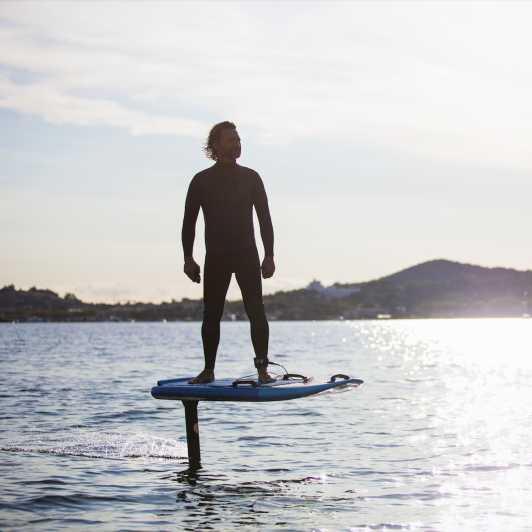 Oslo: Private Water Adventure and E-Foil Rental - Gliding on Oslo Fjord