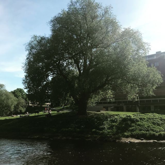 Oslo: Riverwalk and Norwegian Food Tasting - Recap