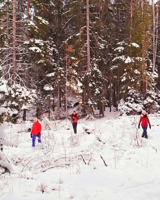 Oslo: Scenic Hike & Norwegian Waffles With a Local & Her Dog - Scenic Hike and Waffles