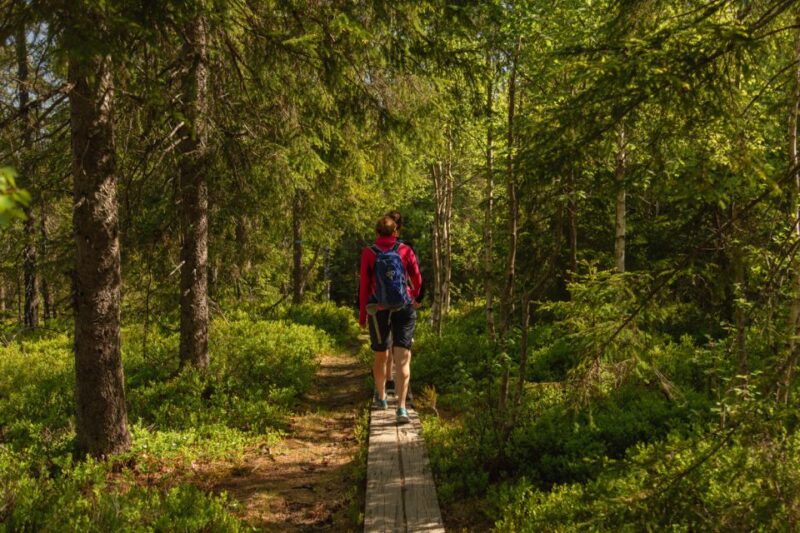 Oslo: Skjennungstoppen Wildlife Forest Hiking Tour - Wildlife Sightings