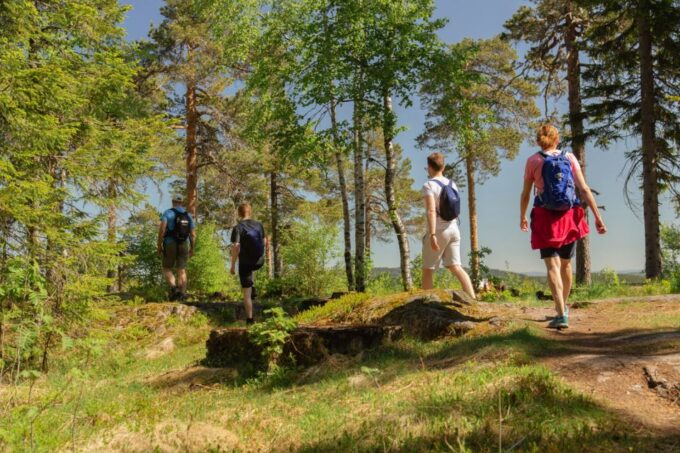 Oslo: Skjennungstoppen Wildlife Forest Hiking Tour - Participant Requirements