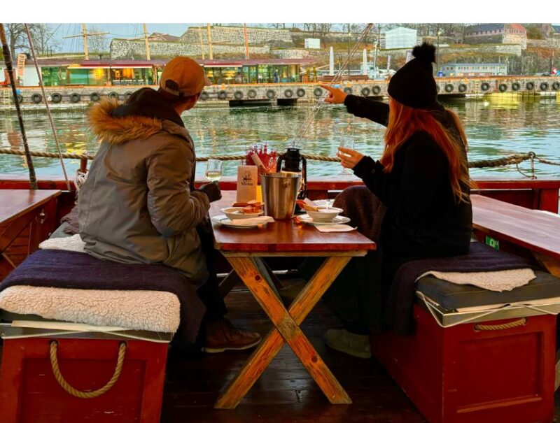 Oslo: Skyline in Winter With Fish Soup Cruise - Experience Highlights