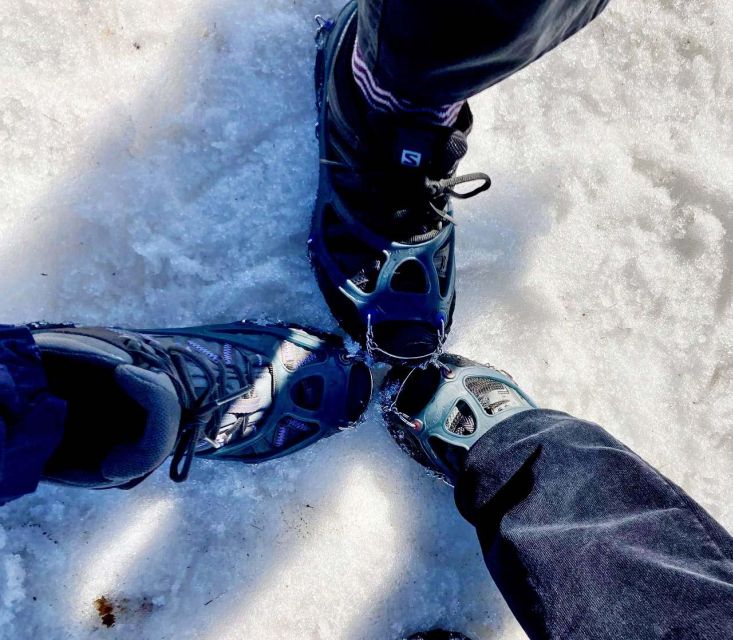 Oslo: Snow Hike to Vettakollen With Oslofjord Winter View - Experience Highlights