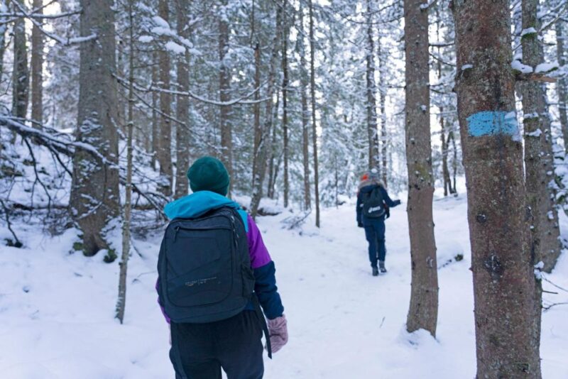 Oslo: Snow Hike to Vettakollen With Oslofjord Winter View - Inclusions and Requirements