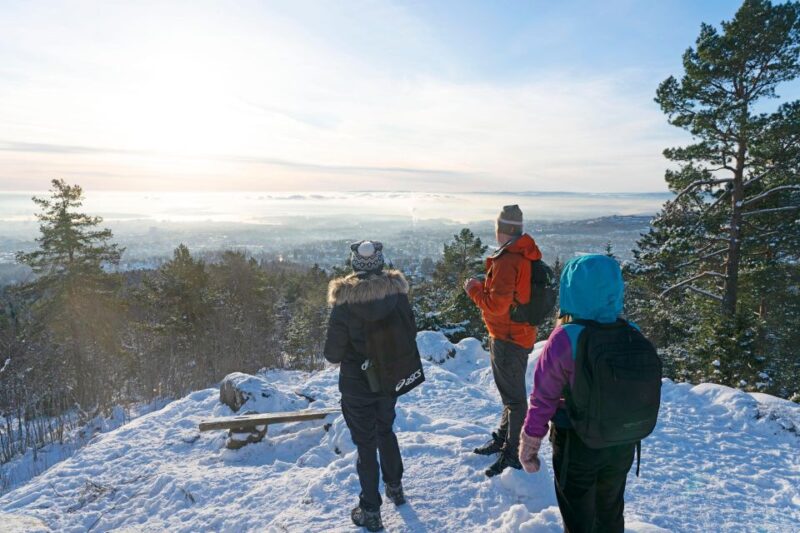 Oslo: Snow Hike to Vettakollen With Oslofjord Winter View - Customer Feedback
