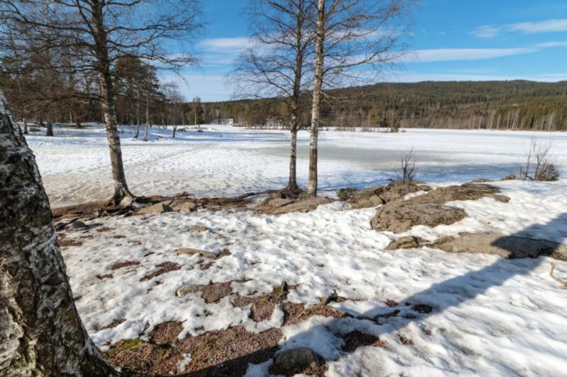 Oslo Summit: A Scenic Hiking Adventure to Vettakollen - Key Points