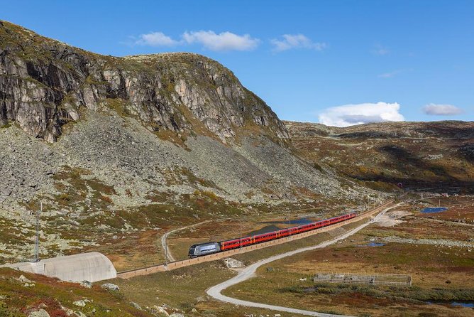 Oslo to Bergen Self-Guided Full Day Trip With Flåm Railway and Fjord Cruise - Included Activities