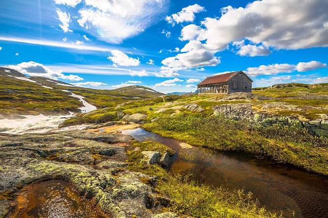 Oslo To Sognefjord Private Full Day Roundtrip Including Flam Railway - Excluded Experiences