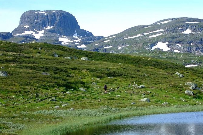 Oslo To Sognefjord Private Full Day Roundtrip Including Flam Railway - Accessibility Information